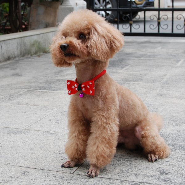 Adjustable Pet Bow Tie for Dogs and Cats, Polyester Bow with Copper Bell and, Neck Strap Fits Up to 22 Inches - Image 2