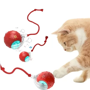 Giociv 3Pack Interactive Cat Toy Ball