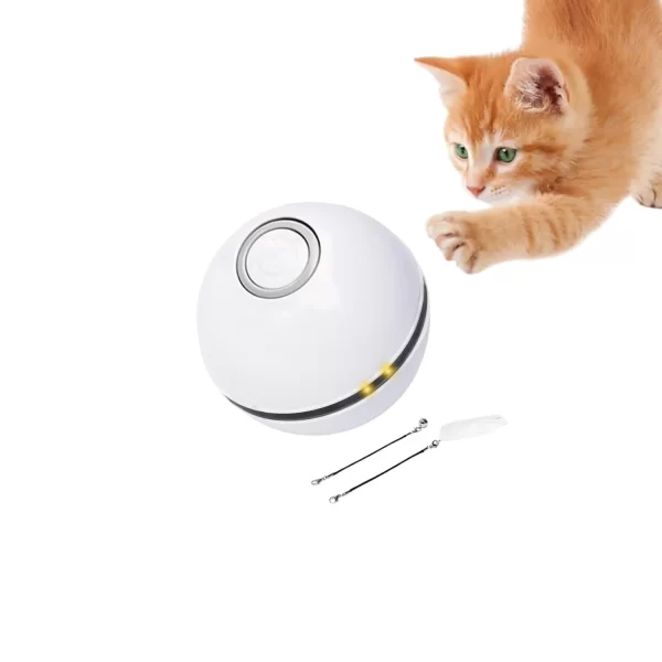 Interactive Cat Toys Ball