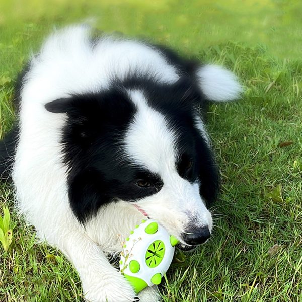Dog Treat Dispensing Toy, Teeth Grinding Cleaning Bite Resistant Dog Food Dispensing Toy, Hedgehog Shape Puppy Treat Puzzle Reduce Boredom and Anxiety Relief Toy for Small, Medium - Image 8