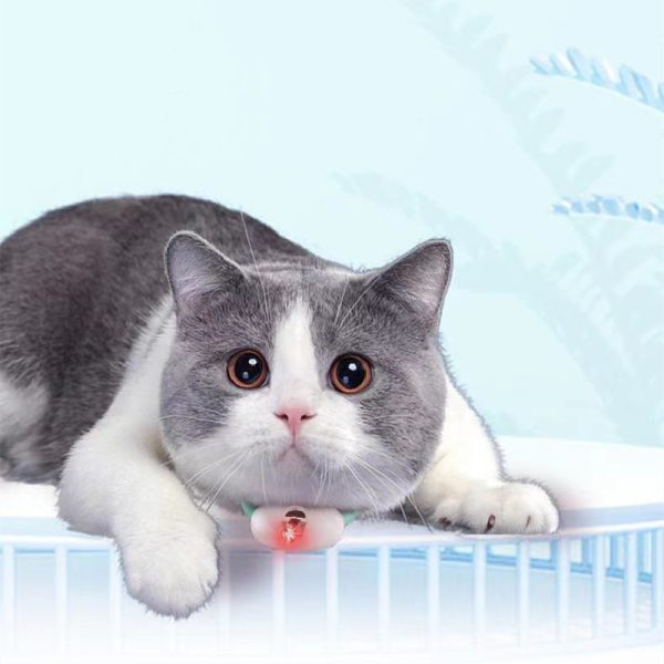 Teaser Cat Collar Pet Exercise Toys for Small, Medium and Large Cats Working, Pet Supplies, Cat Supplies, Collars and, Tags - Image 9