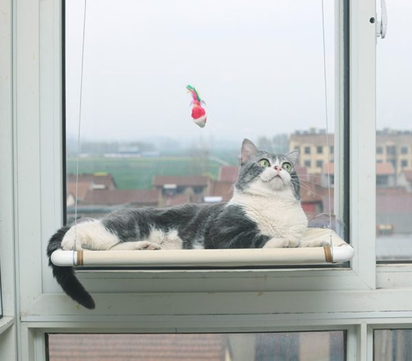 Cat Hammock Nest Hanging Bed for Window | PVC Mesh Cloth, Steel Wire Rope, Suction Cup | Small Pet Nest Holds up to 17.5kg - Image 6