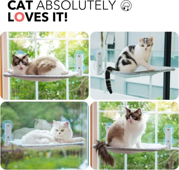 MEWOOFUN Cat Hammock - Window Perch with Strong Suction Cups, Steel Frame, Removable Cushion, Indoor Cat Seat - Image 7