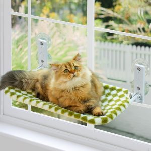 MEWOOFUN Cat Hammock with Steel Frame and Strong Suction Cup Mount - Window Perch for Indoor Cats (Green, Medium)