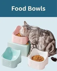 cat food bowls