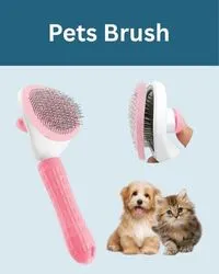 cat brush
