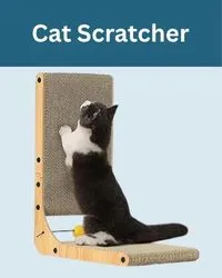 Cat scratcher