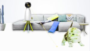 Top 10 Toys for Hyperactive Cats