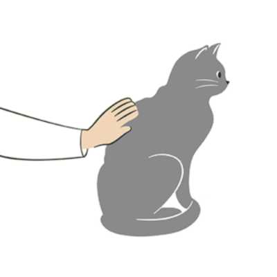 Hands gently feeling a cat’s ribs to assess body condition and check for underweight signs.