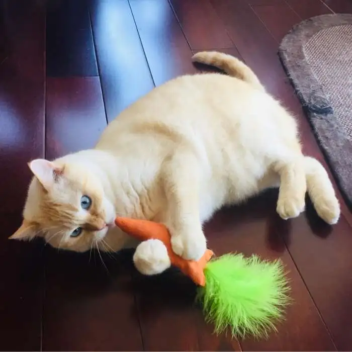 Carrot Catnip Toy for indoor cat
