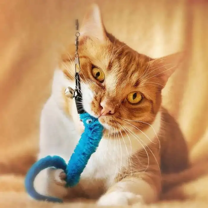 Fuzzy Worm Cat Toy for indoor
